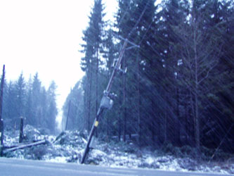 Foto: EON Hanse, freundlicherweise und honorarfrei von EON Hanse zur Verfgung gestellt / Eindrcke aus dem sdschwedischen Sturmgebiet