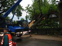 Nach Sturm Einsatz des Autokrans vom OV Pinneberg um umgestrzten Baum zu entfernen / Foto: OV Pinneberg
